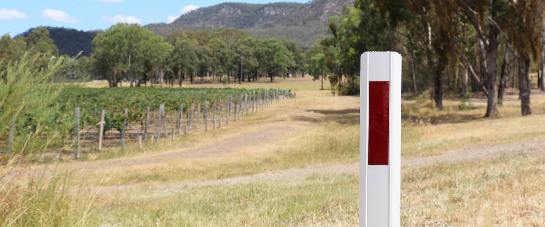 Plas-flex safety bollard on the side of the road