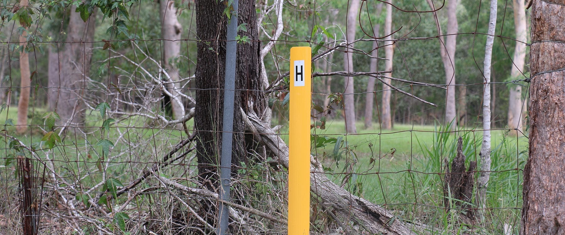 Steel Flex 1-Piece Marker Posts | Road Markers | Delnorth