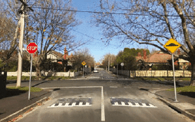 Two rubber speed cushions